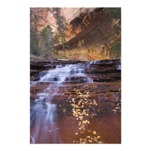Archangel cascades in the Left Fork of the Photo Art