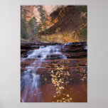 Archangel cascades in the Left Fork of the Poster