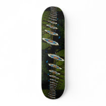 Archery targets near Brentwood, Essex, U.K. Skateboard