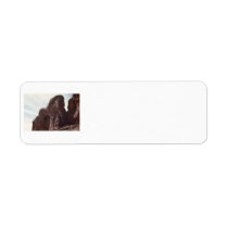 arches national park rock formation labels