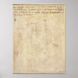 Architectural Study with Notes Posters
