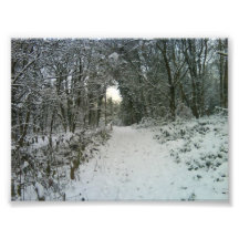 Archway in the snow photo