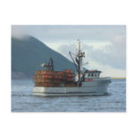 Arctic Fox, Crab Boat in Dutch Harbour, Alaska