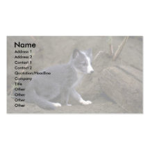 Arctic Fox kit Business Card Template