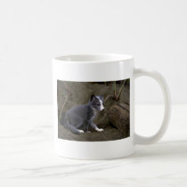 Arctic Fox kit mugs