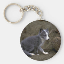 Arctic Fox kit Key Chains