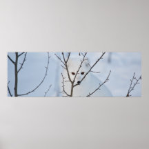 Arctic Fox Print
