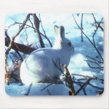 Arctic Hare in Snow Mouse Pad