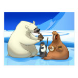 Arctic Jug Band Postcard