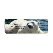 Arctic Polar Bear Return Address Label