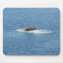 Arctic Walrus Island Mouse Pad