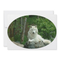 Arctic Wolf Invitation