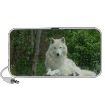 Arctic Wolf Speakers