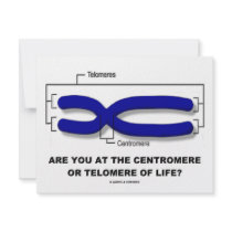 Are You At The Centromere Or Telomere Of Life?