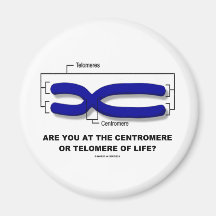 Are You At The Centromere Or Telomere Of Life? Magnet