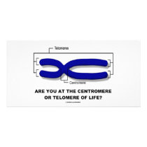 Are You At The Centromere Or Telomere Of Life?