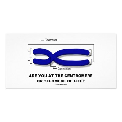 Are You At The Centromere Or Telomere Of Life? by wordsunwords