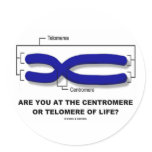 Are You At The Centromere Or Telomere Of Life?