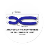 Are You At The Centromere Or Telomere Of Life?