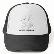 Are You Congruent? (Congruent Angles)