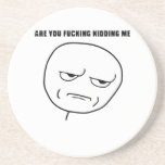 Are you kidding me? (explicit) drink coasters