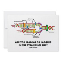 Are You Leading Or Lagging In The Strands Of Life?