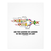 Are You Leading Or Lagging In The Strands Of Life? Letterhead Template
