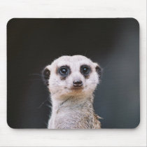 Are you looking at me?  Meerkat Mousepad