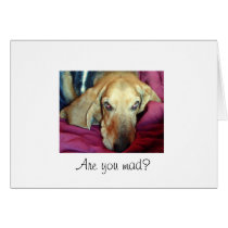 Are you mad friendship card