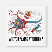 Are You Paying Attention? (Neuron Synapse Humour) Fridge Magnets
