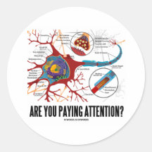 Are You Paying Attention? (Neuron Synapse Humour) Stickers