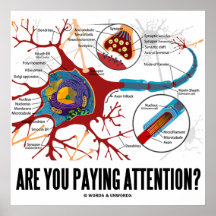 Are You Paying Attention? (Neuron / Synapse) Print