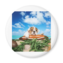 Are you serious? refrigerator magnet