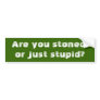 Are you stoned,or just stupid? bumper stickers