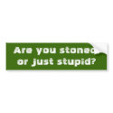 Are you stoned,or just stupid? bumper stickers
