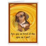Are you tired of the spin? A dachshund's thoughts Cards