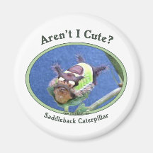 Aren't I Cute Bug Caterpillar Refrigerator Magnet