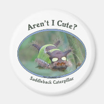 Aren't I Cute Caterpillar Bug Refrigerator Magnet