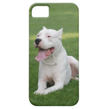 Argentinian Dog iPhone 5 Case