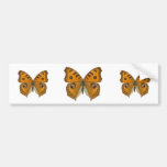 Argus Butterfly Bumper Stickers