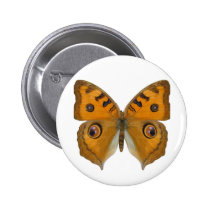 Argus Butterfly buttons