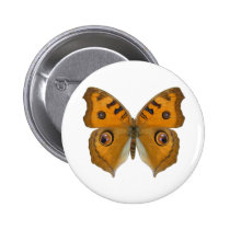 Argus Butterfly buttons