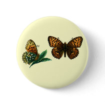 Argynnis aglaja