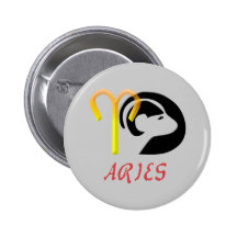 Aries Pins