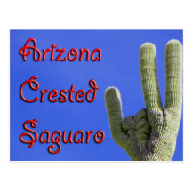 Arizona Crested Saguaro Post Card