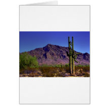 Arizona Desert Cards