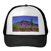 Arizona Desert Mesh Hats