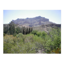 Arizona Desert Postcards