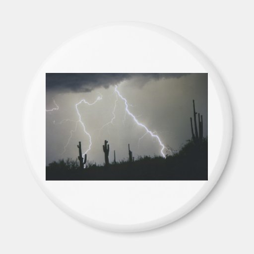 Arizona Desert Storm Refrigerator Magnets