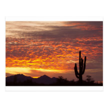 Arizona November Sunrise With Saguaro Post Cards